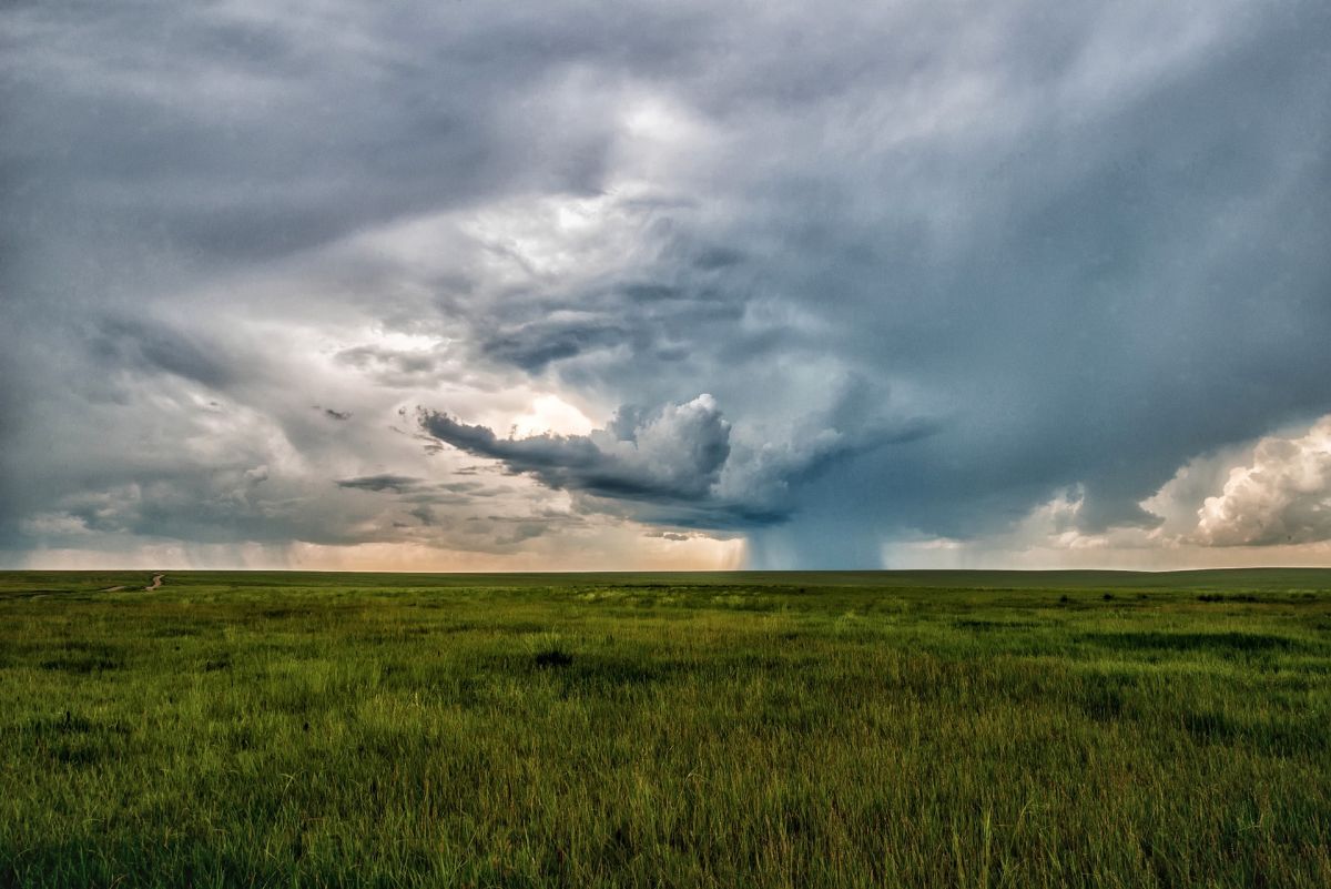 Grassland dark clouds