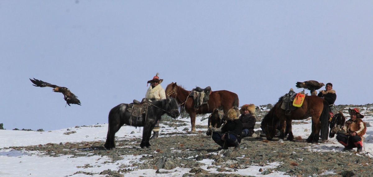 The Eagle hunters while hunting and takhi horses