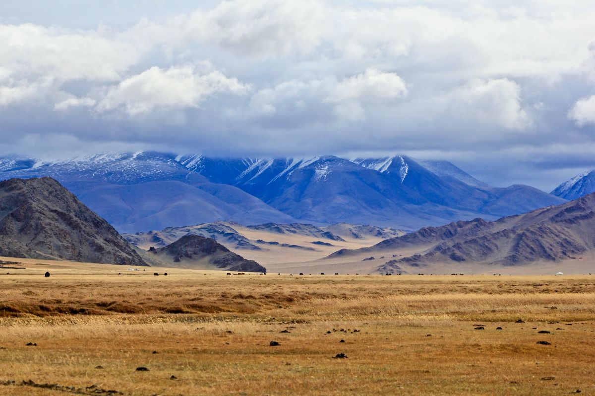Pourquoi le Toyota Landcruiser et le UAZ Patriot sont les meilleures voitures  pour un voyage à travers la Mongolie