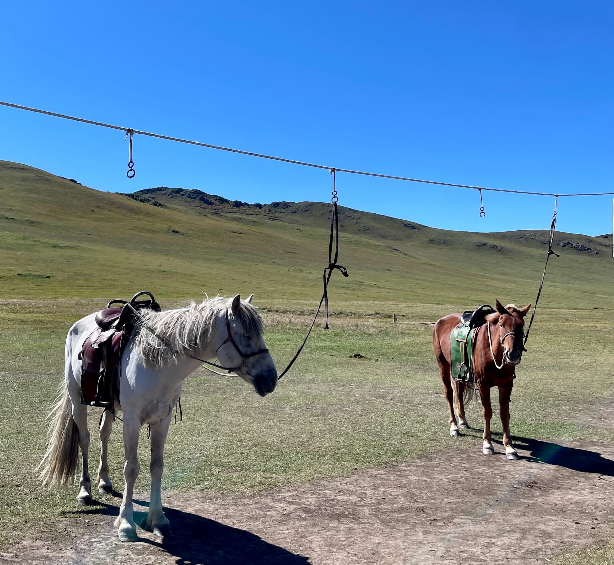 Horseback Riding in Kharakorum