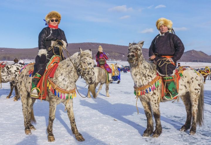 Mongolian horses in winter