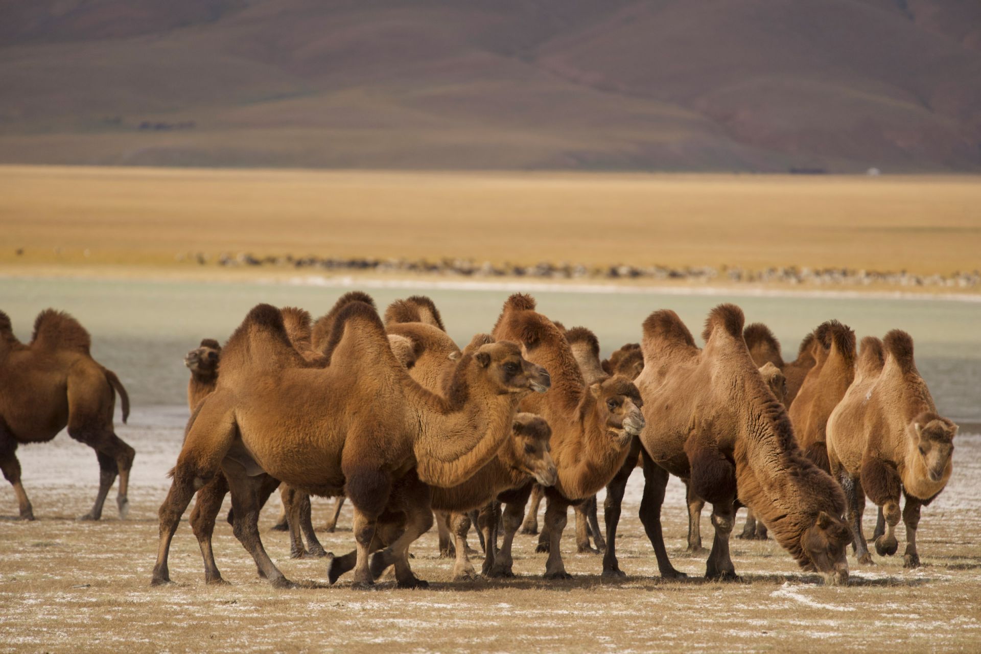 10 best places to visit in mongolia