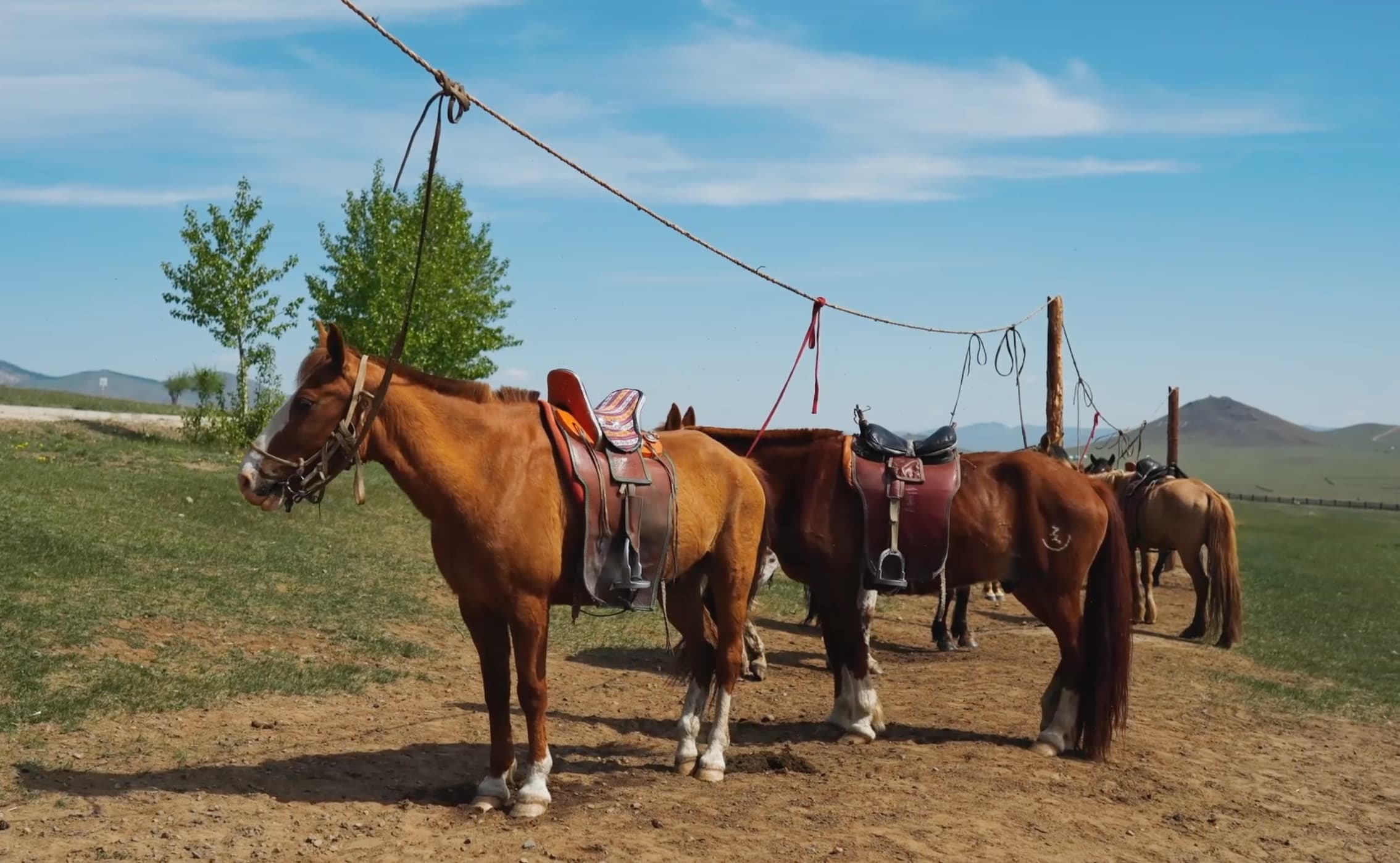 horse riding Terelj