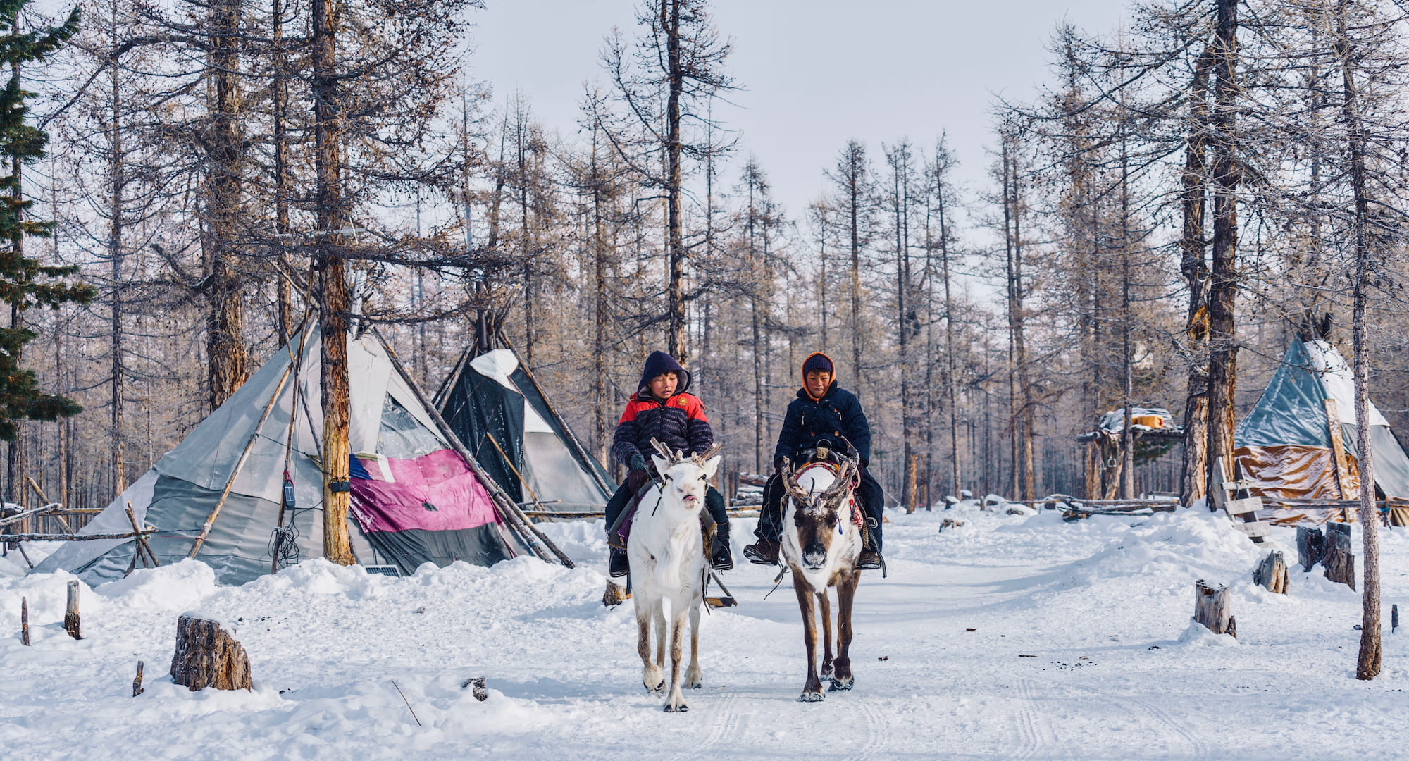 Annual average snowfall impacts eagle hunters.