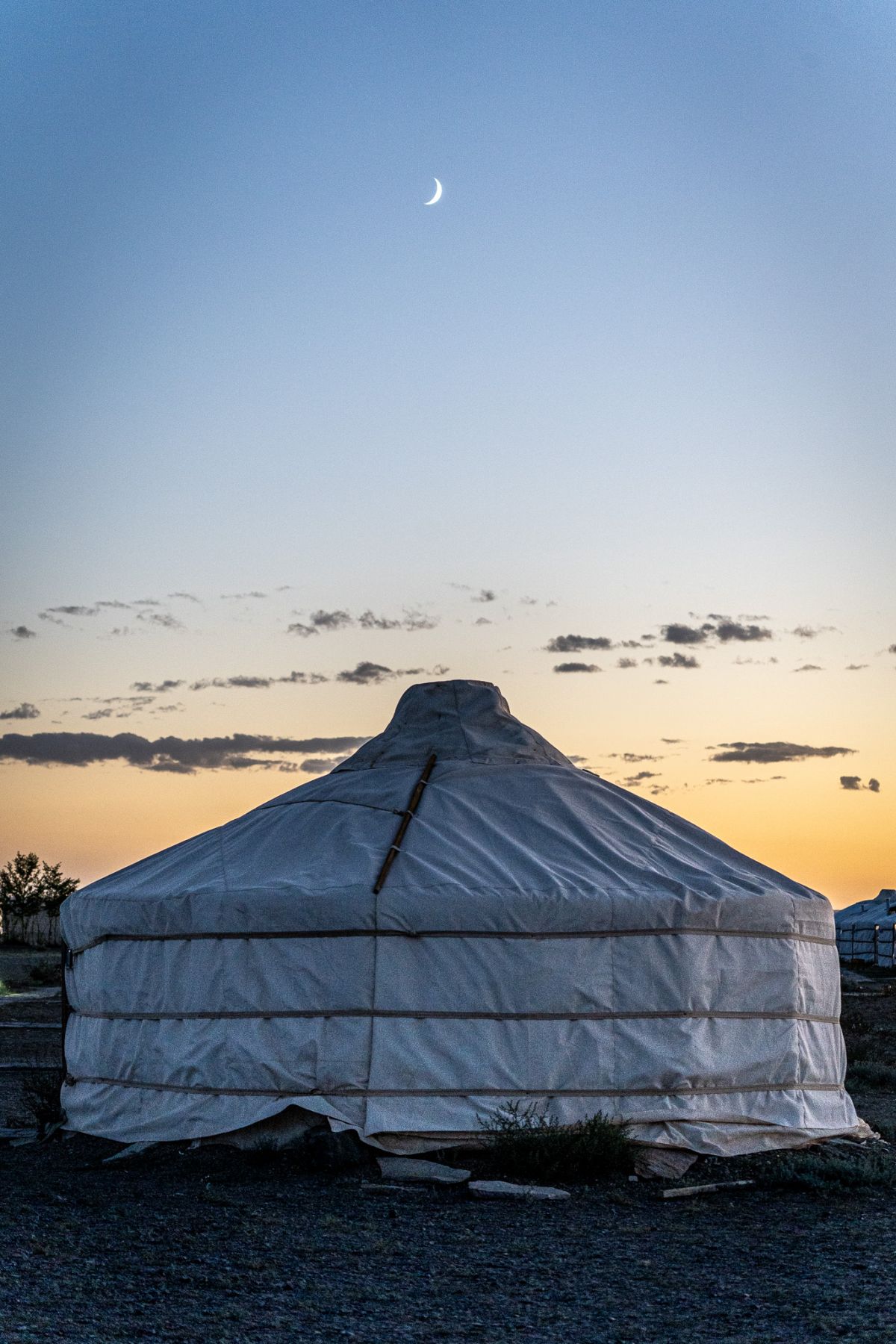Stay in a Traditional Mongolian Ger in Gobi