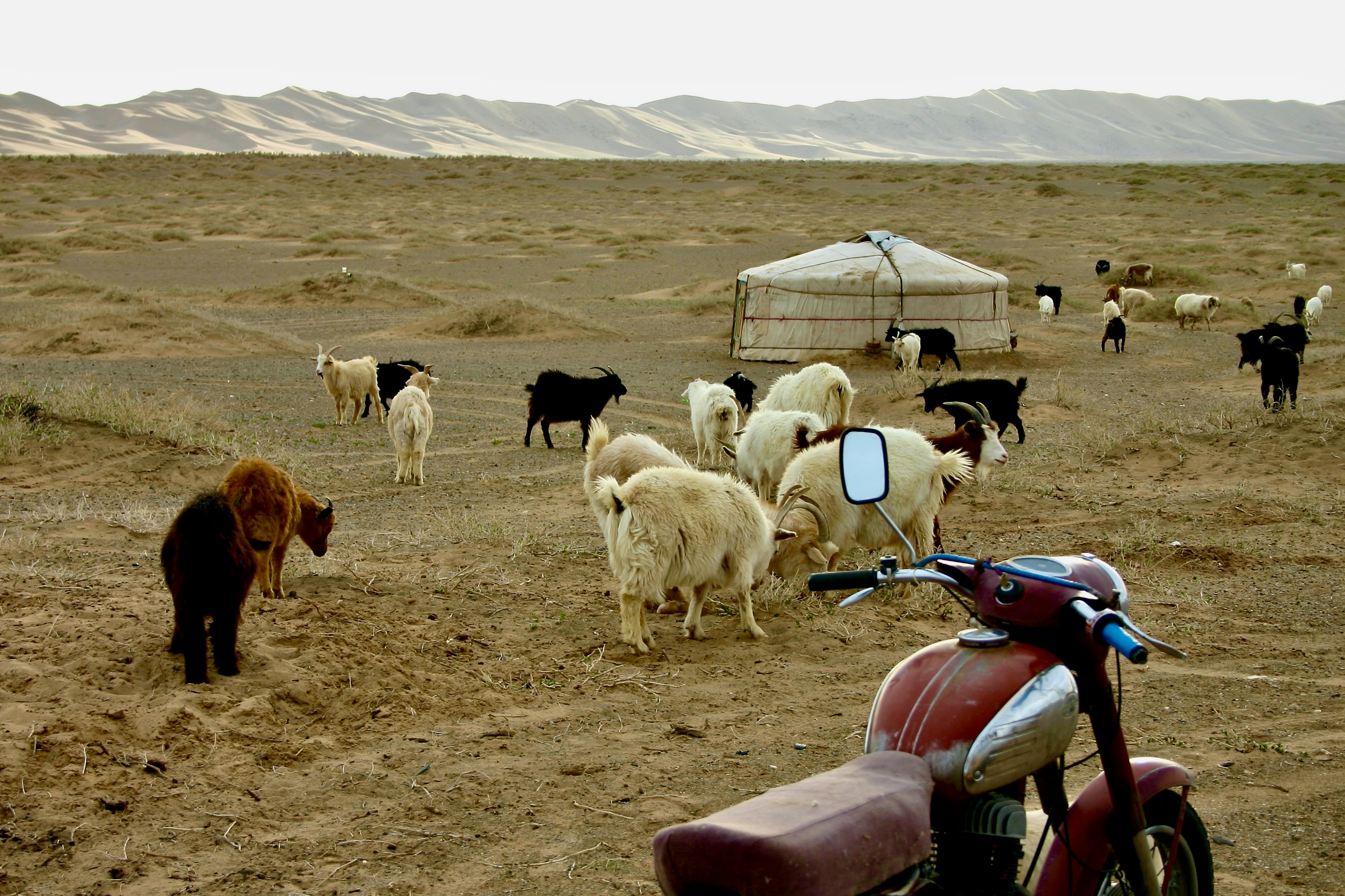 Explore scenic routes and landmarks in Mongolia