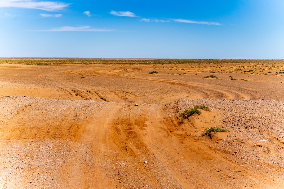 Off the Beaten Track