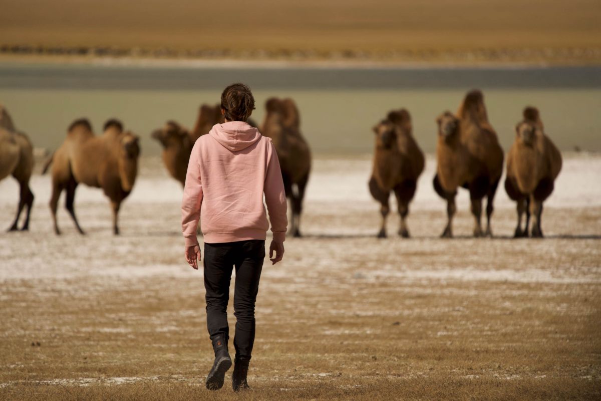 Things to do in Mongolia: Meeting camels and Camel riding by Artem Shestakov