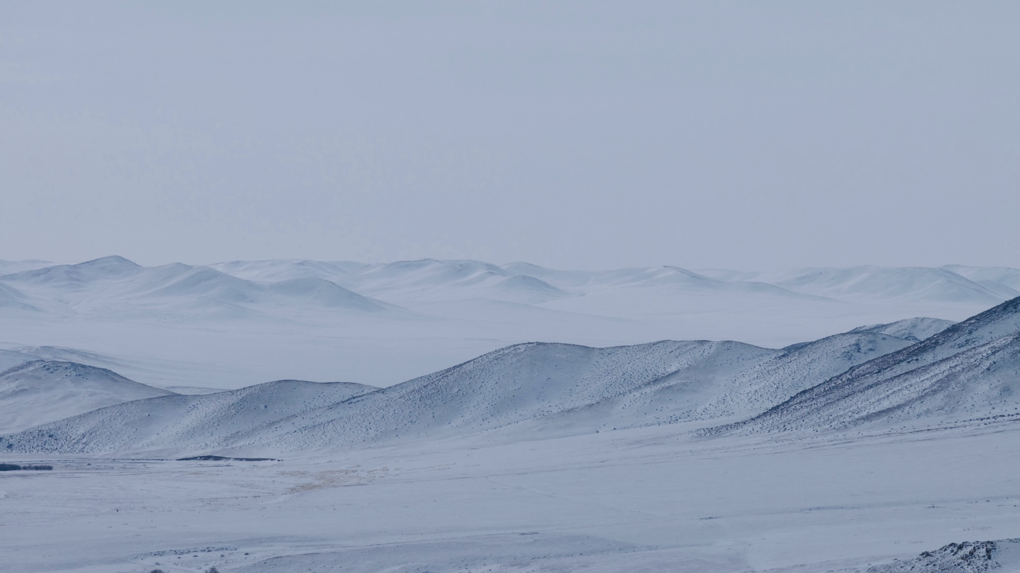 Sunlight filters through a snow-covered Mongolian forest, with snowflakes sparkling like diamonds in the cold winter.