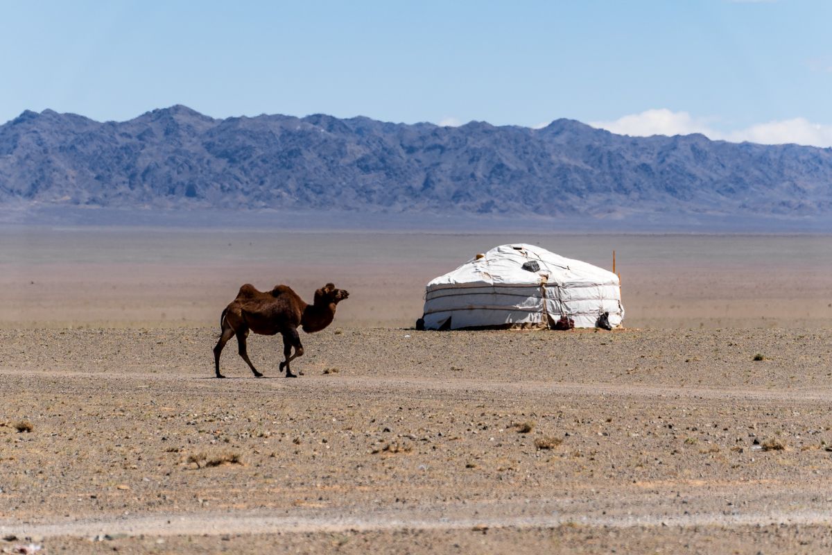 Road to Khongoryn Els