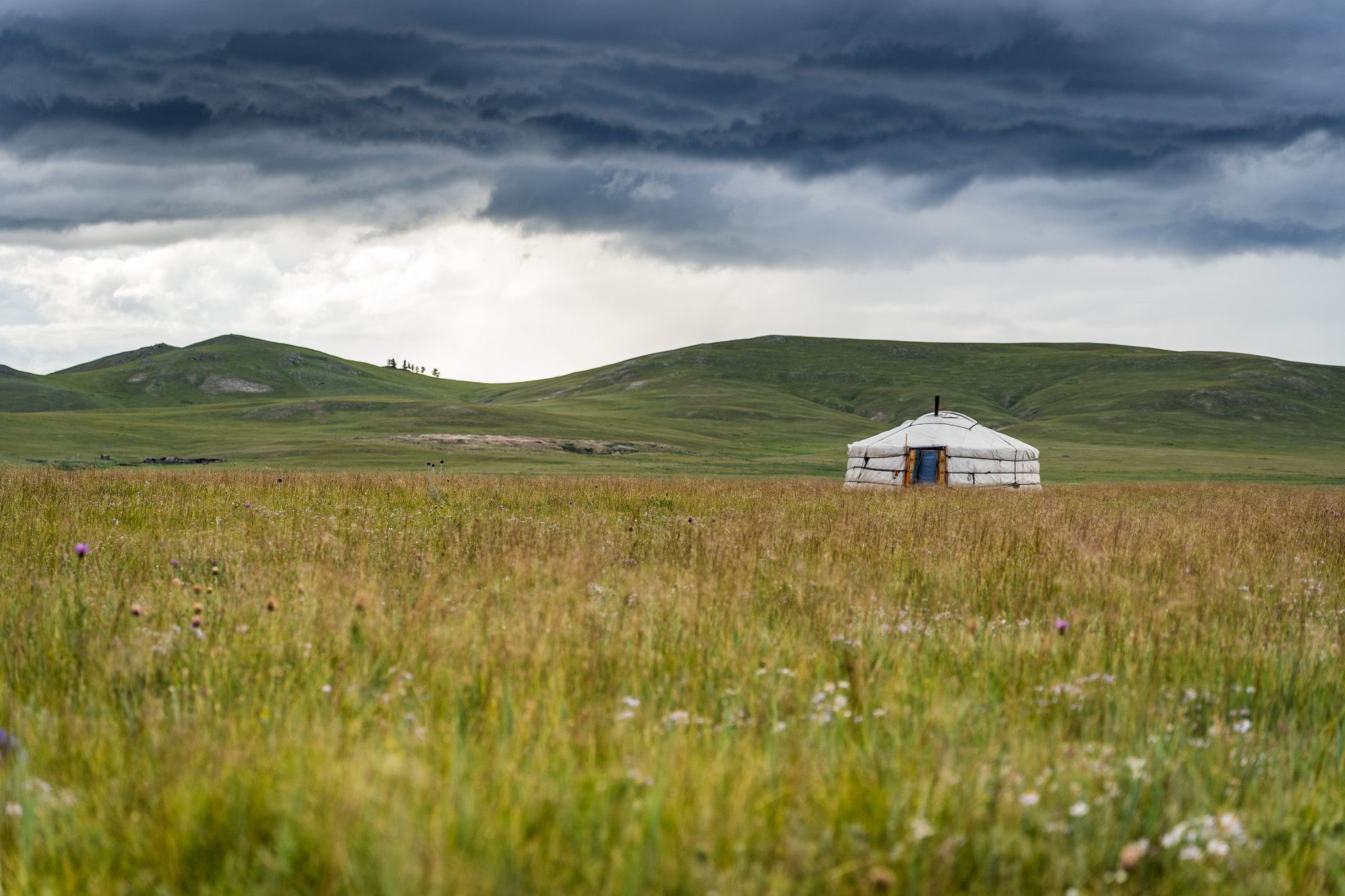 Ger in a lush green steppe